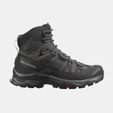 Picture of SALOMON QUEST 4 GTX